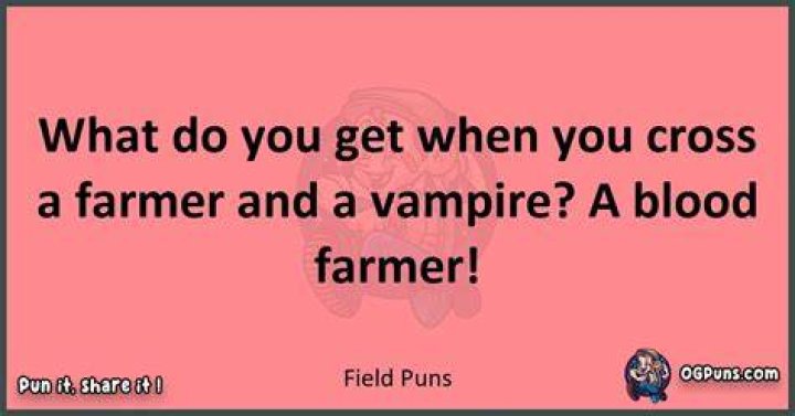 240+ Fieldtastic Puns Plow Through the Laughter!