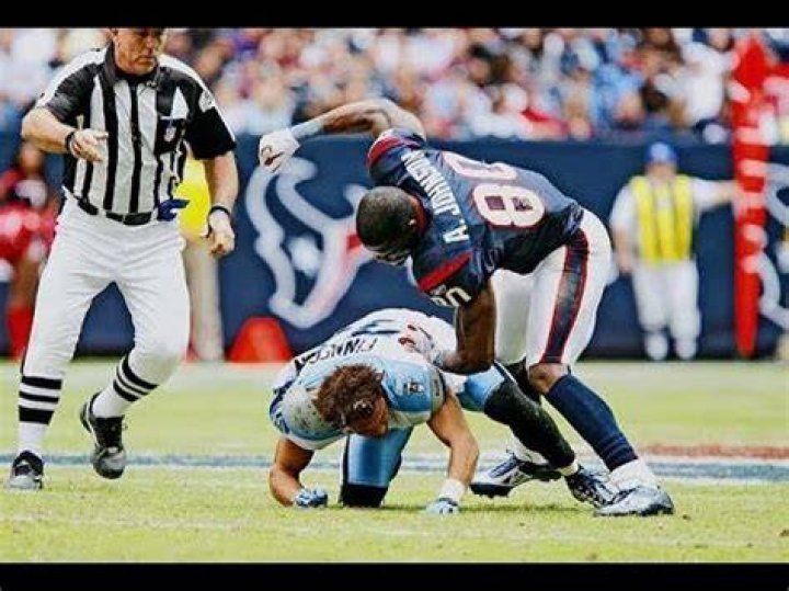 Andre Johnson Fight