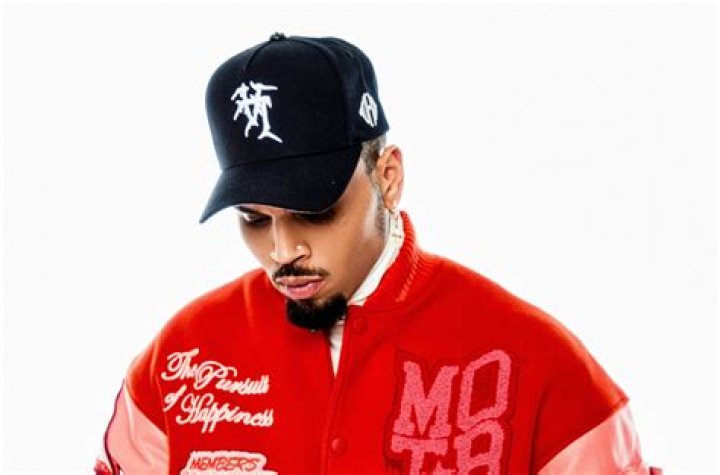 Chris Brown's Net Worth, How Much Is Chris Brown Worth Sfuncube