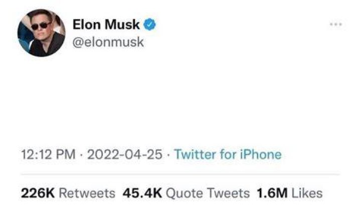 Elon Musk Twitter Template