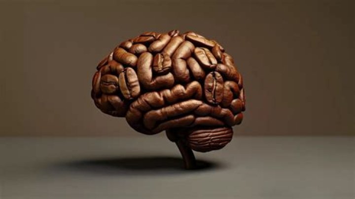 Human Brain Made with Coffee Beans. Stock Photo Image of copy