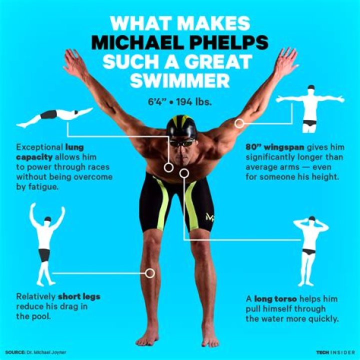 Michael phelps body is perfect for swimming Artofit