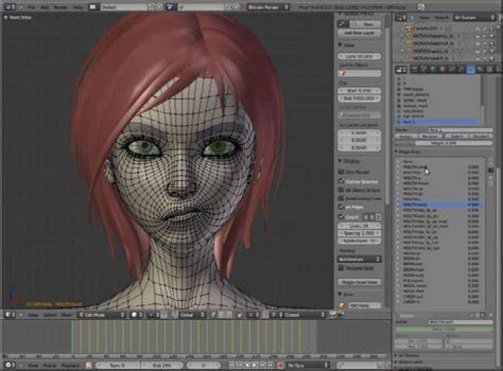 Sintel DVDs have shipped with film, commentaries, and Blender tutorials
