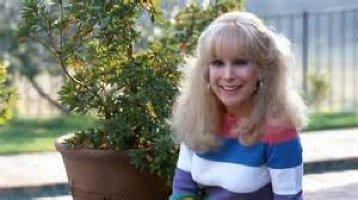 The Truth About Barbara Eden And Larry Hagman's Relationship