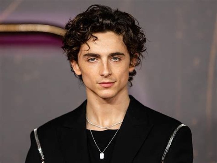 Timothee Chalamet Biography, Age, Wiki, Height, Weight, Girlfriend
