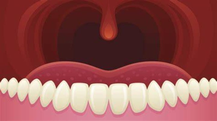 What Does That Dangly Thing in the Back of Your Throat Do? Mental Floss